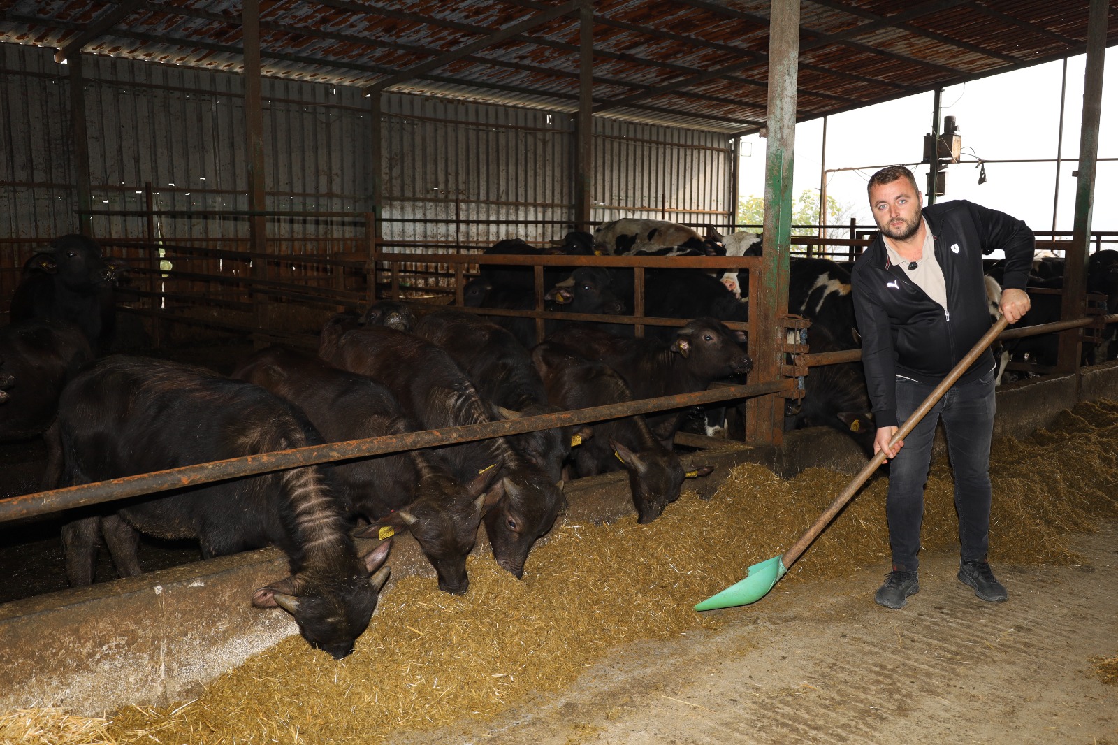 Kocaeli'de Manda Sayısı Büyükşehir'in Desteğiyle Arttı (3)