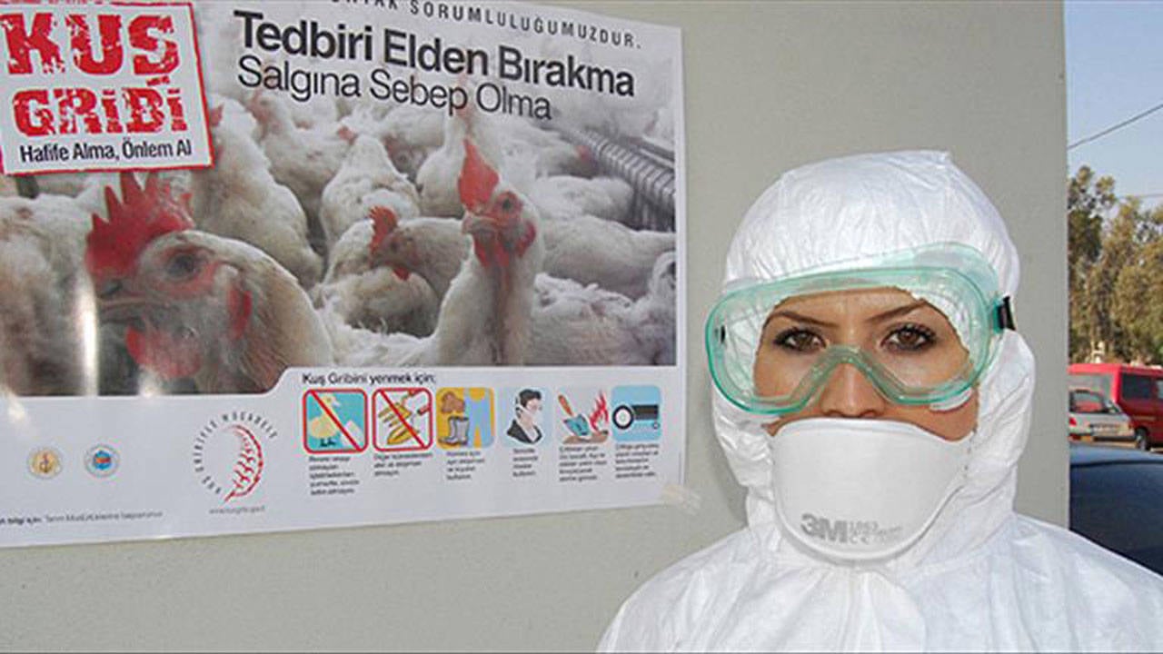 Korkulan Hastalik Geri Dondu Hayvanlar Canli Canli Gomuldu