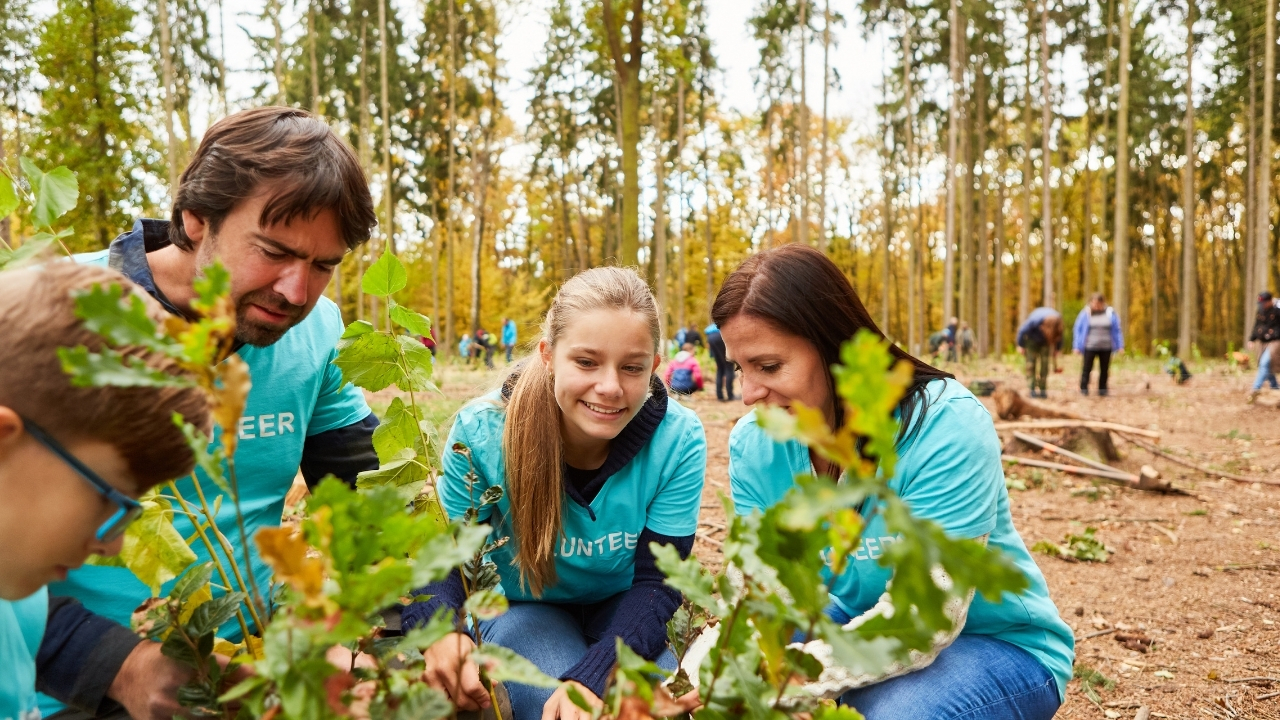 Milli Agaclandırma Gunu