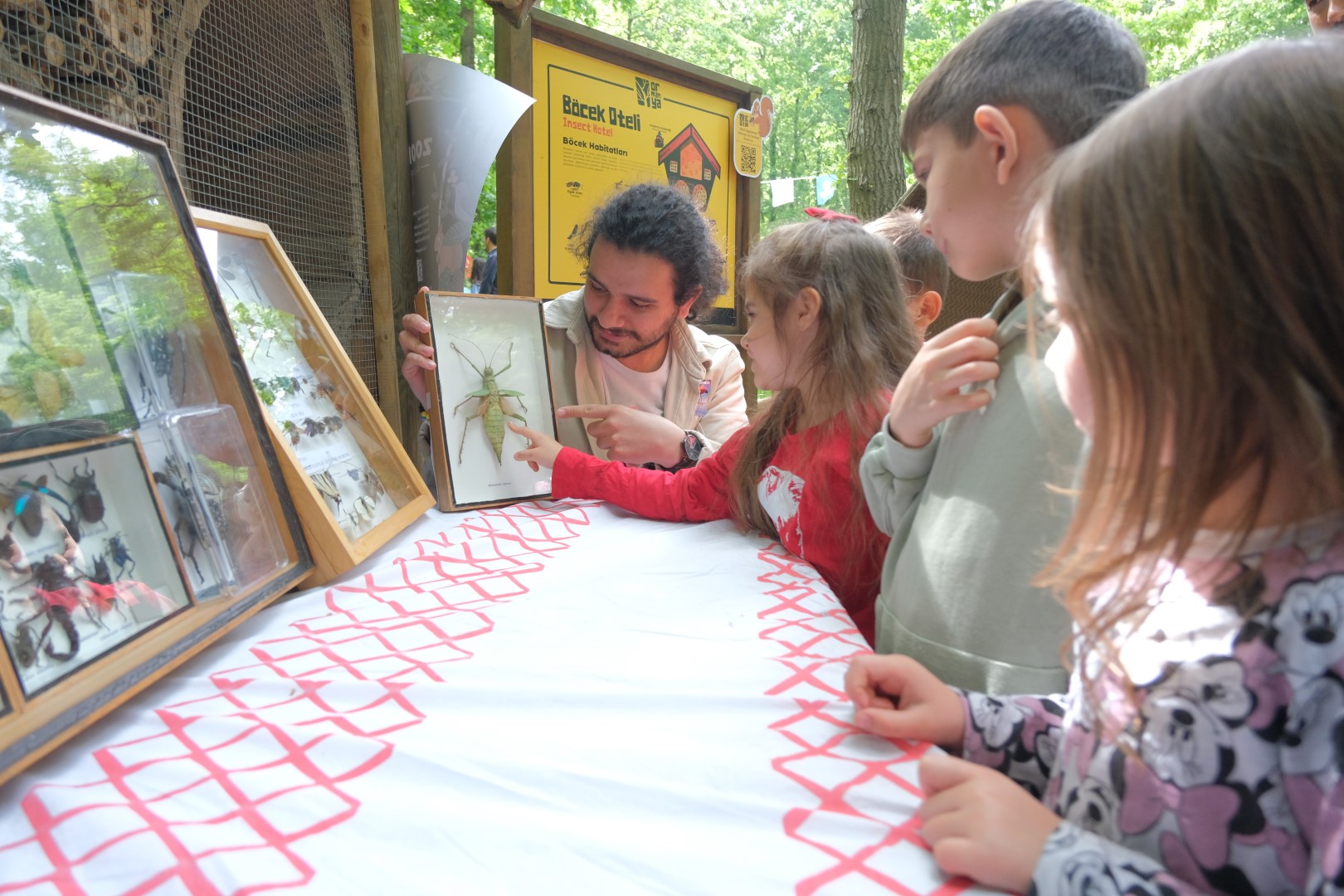 Ormanya Ve Kuzuyayla Ziyaretçi Rekoru Kırdı (4) (Büyük)