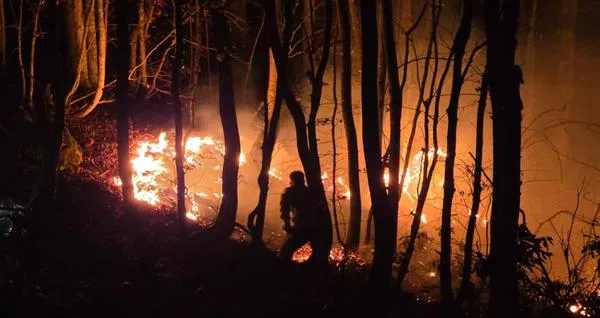 Pc 4E5Fc6A7F52C540D4Ceb0Acb0E4A5Dd4