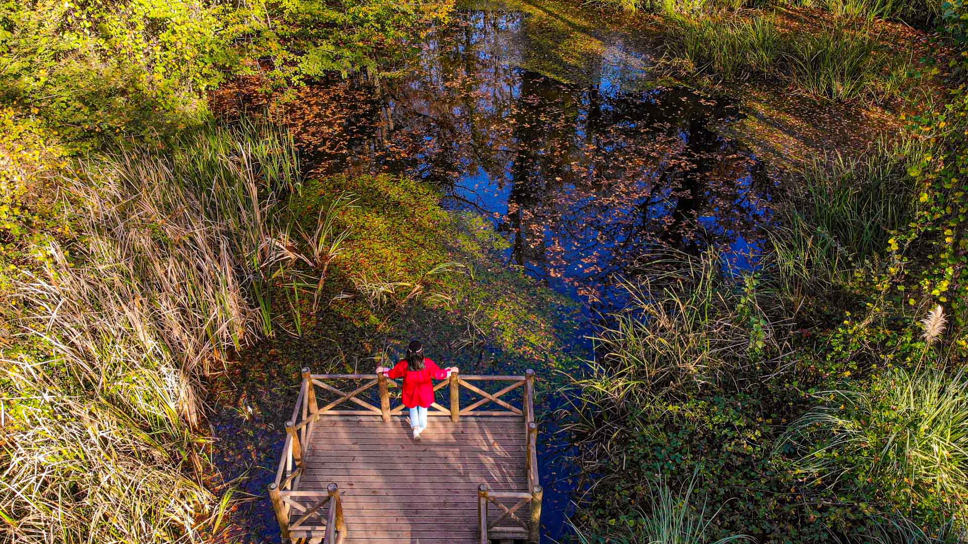 Sonbahar, Huzurun Adresi Ormanya'da Bir Başka (1) (Large)