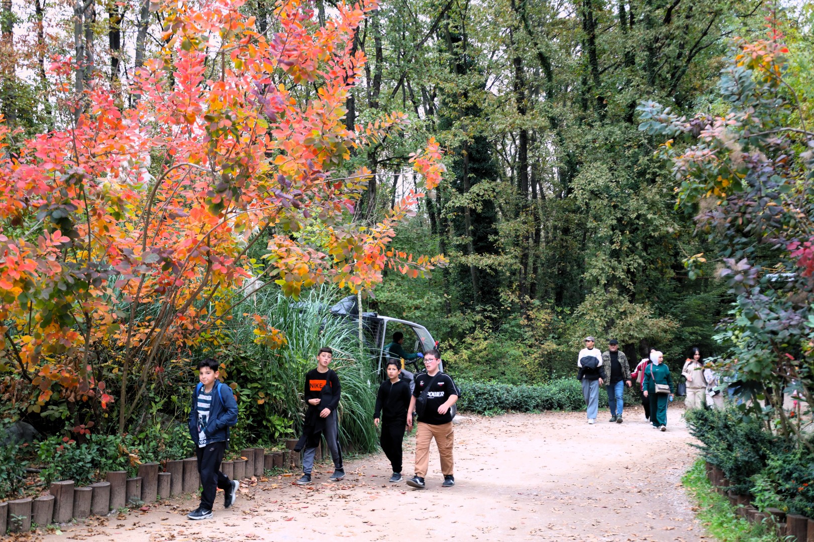 Sonbahar, Huzurun Adresi Ormanya'da Bir Başka (12) (Large)