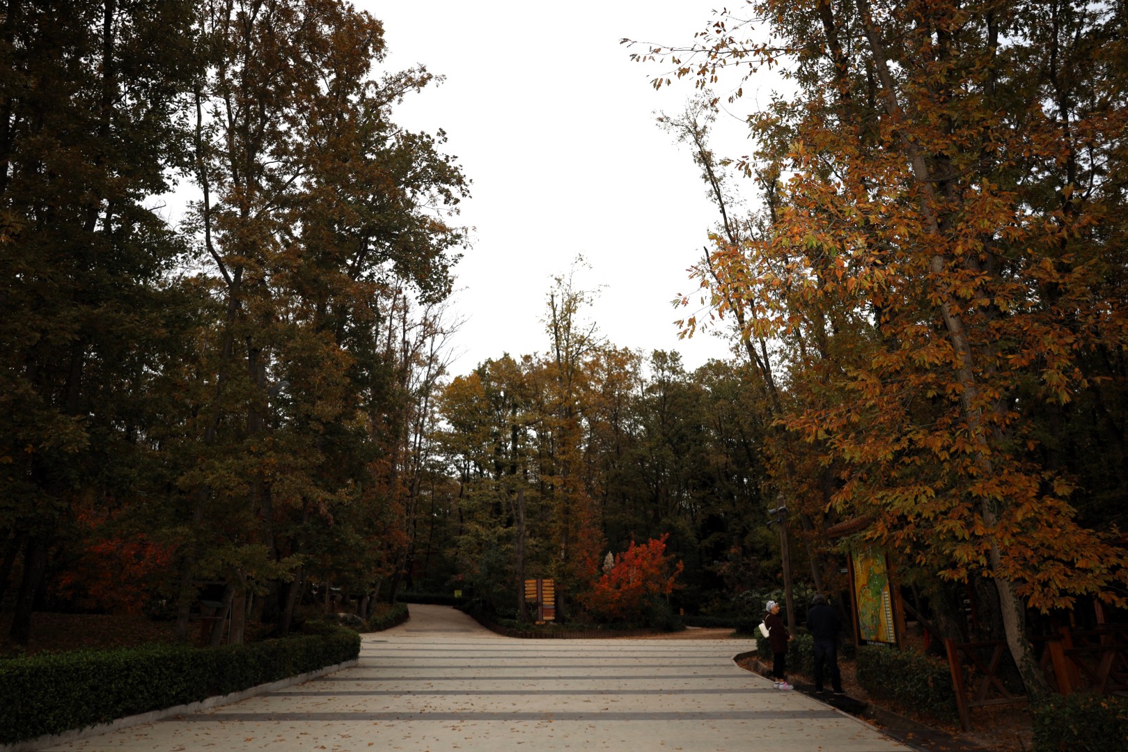 Sonbahar, Huzurun Adresi Ormanya'da Bir Başka (13) (Large)