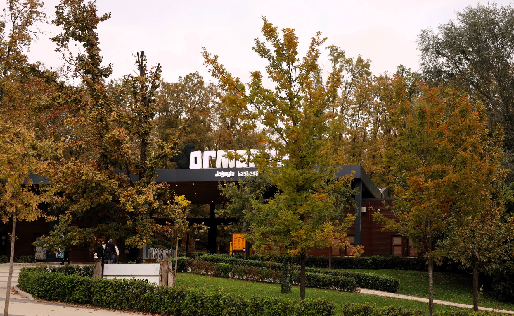 Sonbahar, Huzurun Adresi Ormanya'da Bir Başka (14) (Large)