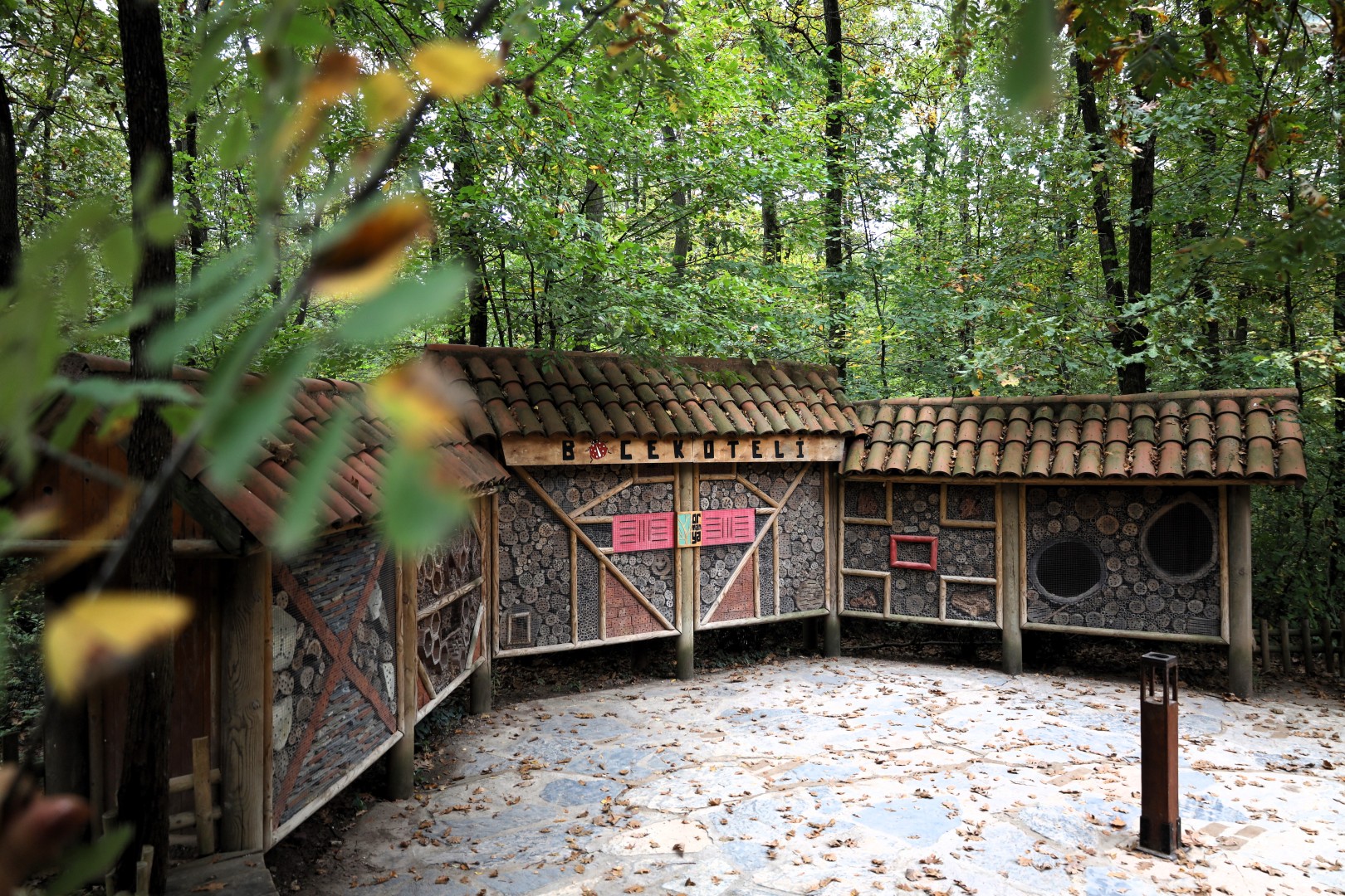 Sonbahar, Huzurun Adresi Ormanya'da Bir Başka (4) (Large)