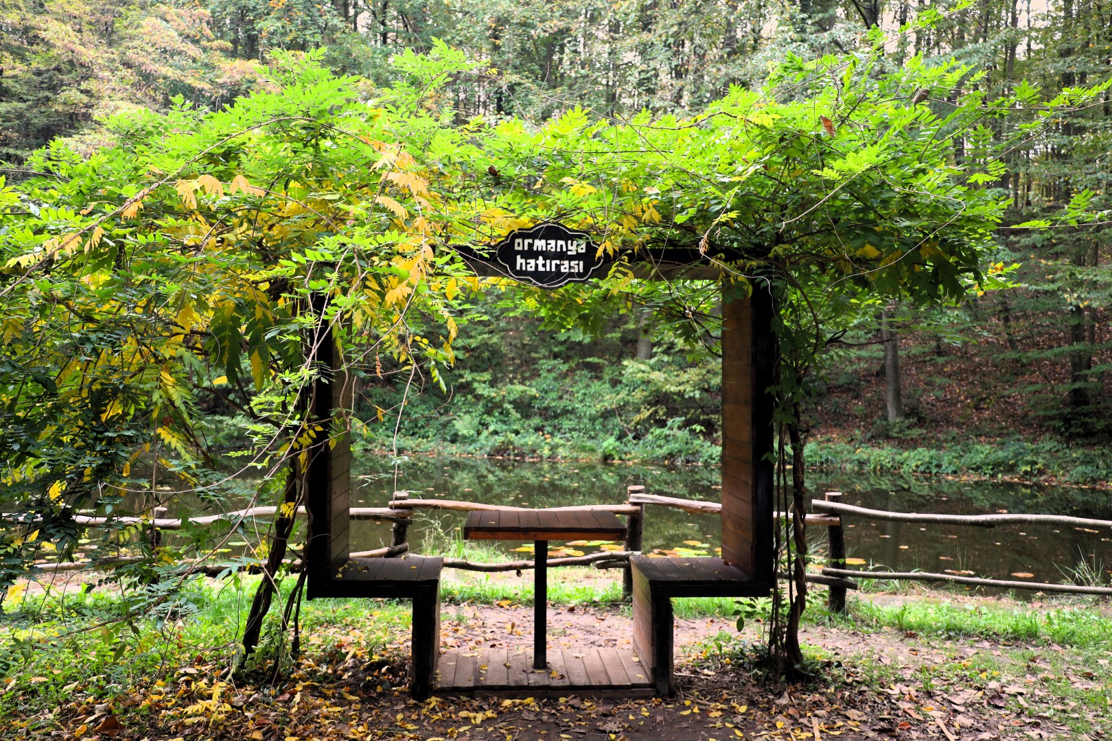 Sonbahar, Huzurun Adresi Ormanya'da Bir Başka (6) (Large)