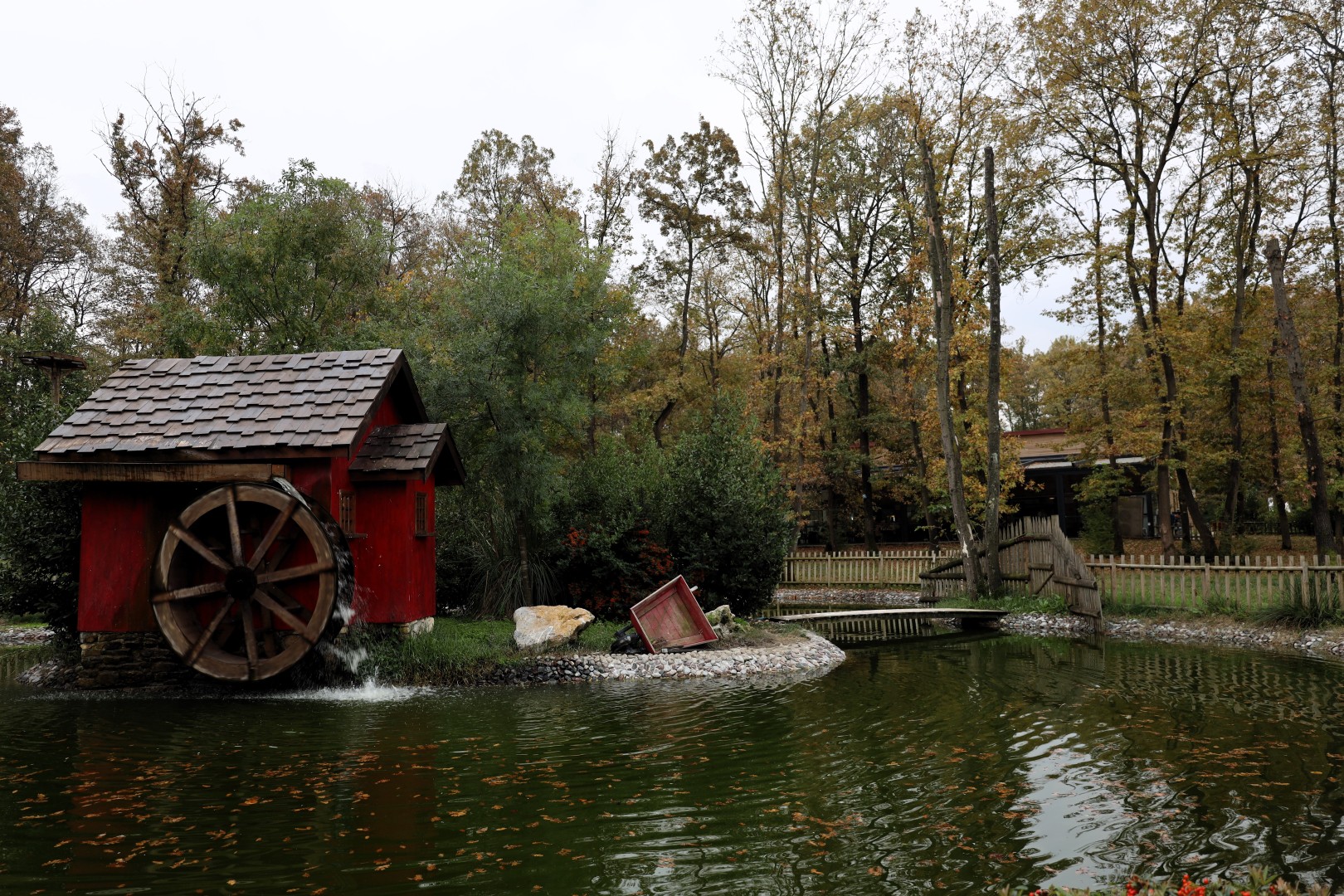 Sonbahar, Huzurun Adresi Ormanya'da Bir Başka (7) (Large)