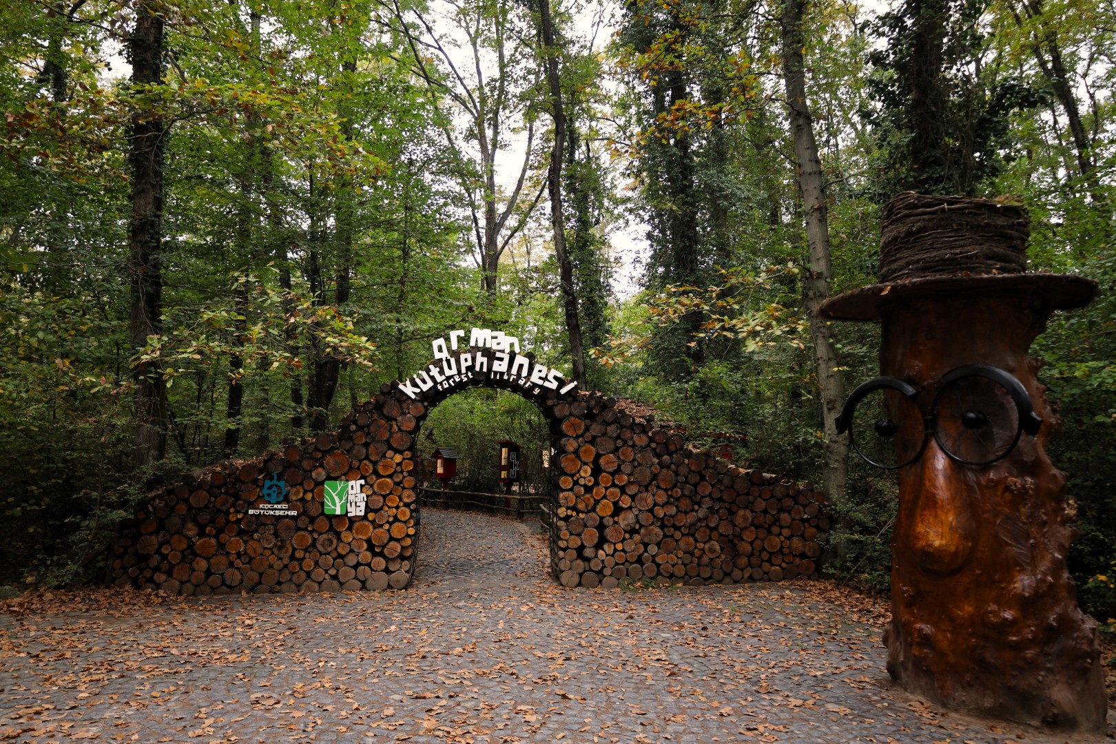 Sonbahar, Huzurun Adresi Ormanya'da Bir Başka (9) (Large)