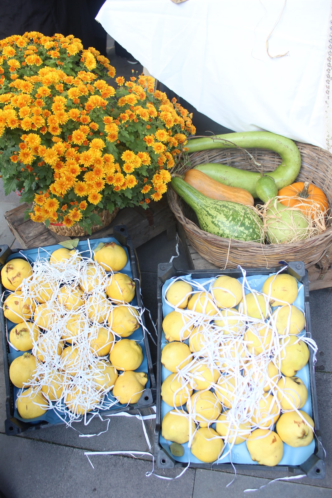 Whatsapp Image 2025 11 02 At 11.34.14 (1)