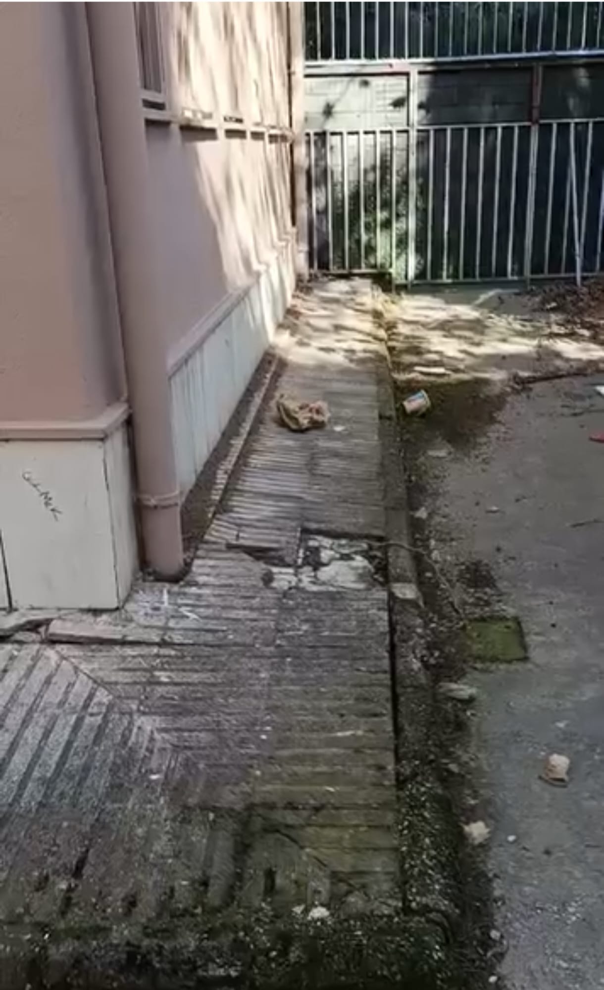 Whatsapp Image 2025 11 04 At 08.38.52