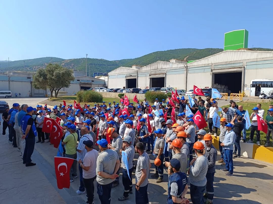 Whatsapp Image 2025 11 05 At 12.12.46 (1)