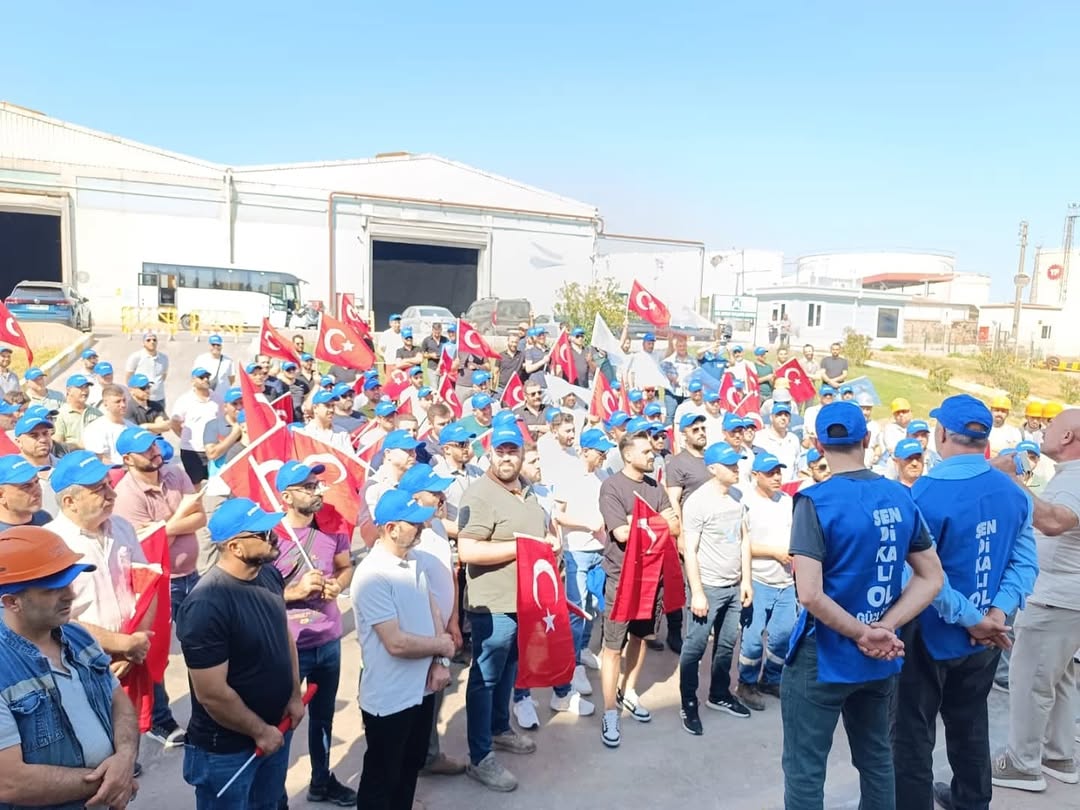 Whatsapp Image 2025 11 05 At 12.12.46