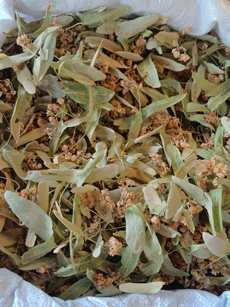 Whatsapp Image 2025 11 05 At 13.31.20