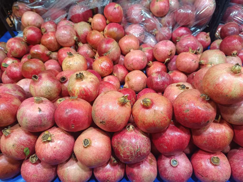 Whatsapp Image 2025 11 06 At 10.08.50 (1)