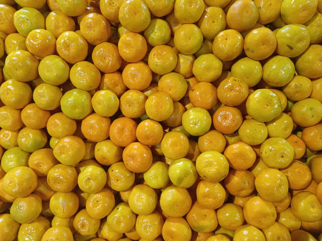 Whatsapp Image 2025 11 06 At 10.08.51 (1)