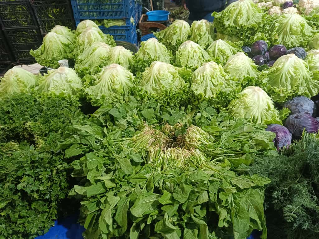 Whatsapp Image 2025 11 06 At 10.08.51 (2)