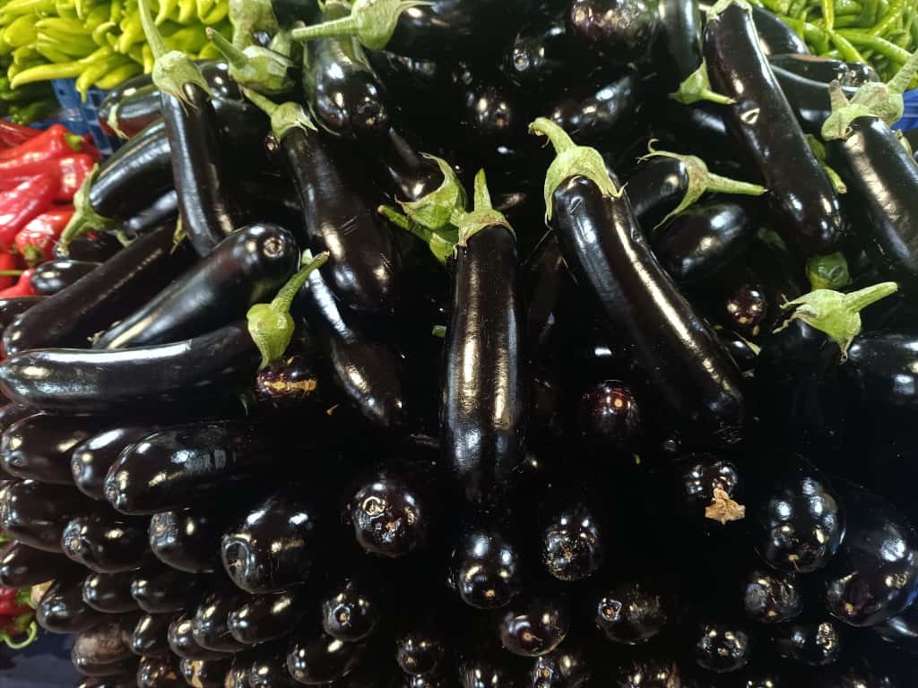 Whatsapp Image 2025 11 06 At 10.08.51