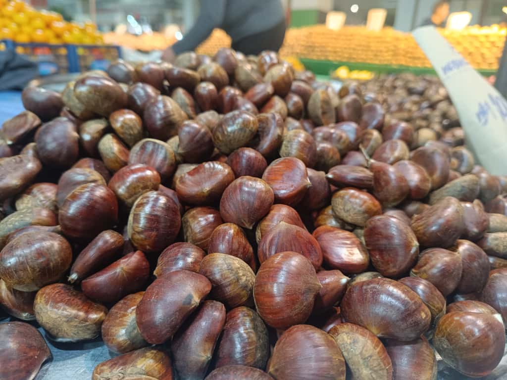 Whatsapp Image 2025 11 06 At 10.08.52 (1)