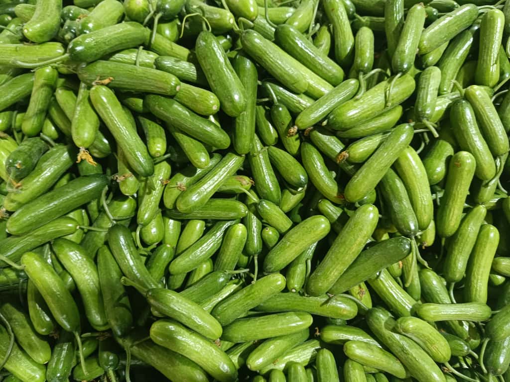 Whatsapp Image 2025 11 06 At 10.08.52 (2)