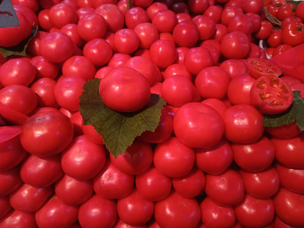 Whatsapp Image 2025 11 06 At 10.08.52