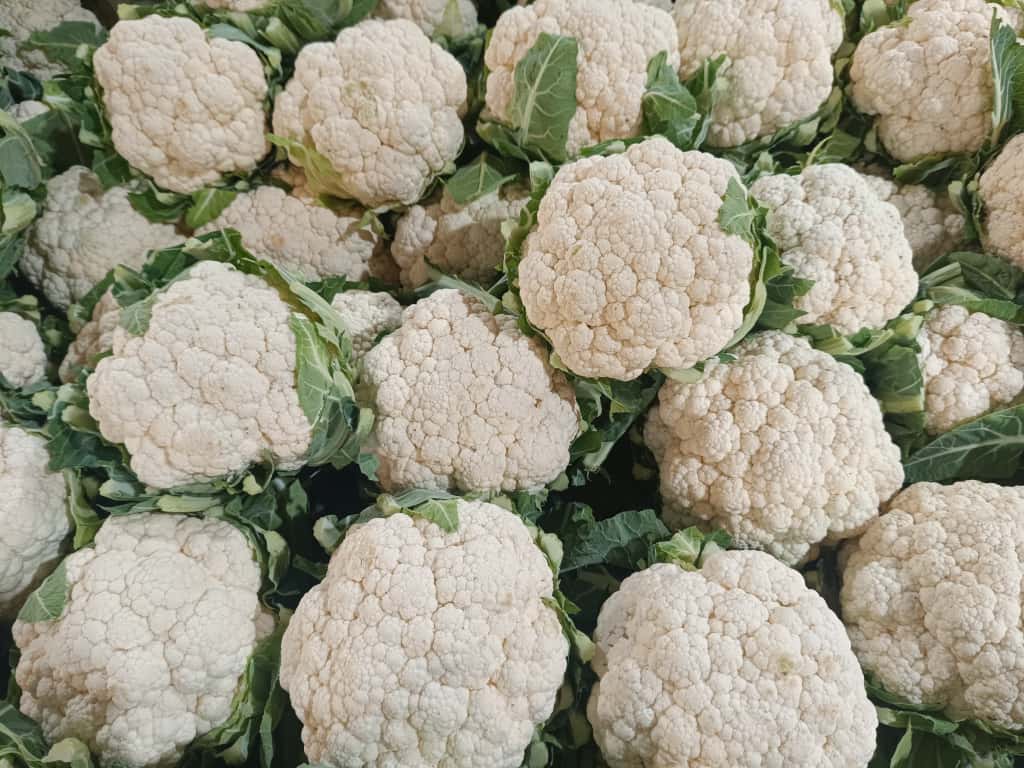 Whatsapp Image 2025 11 06 At 10.08.53