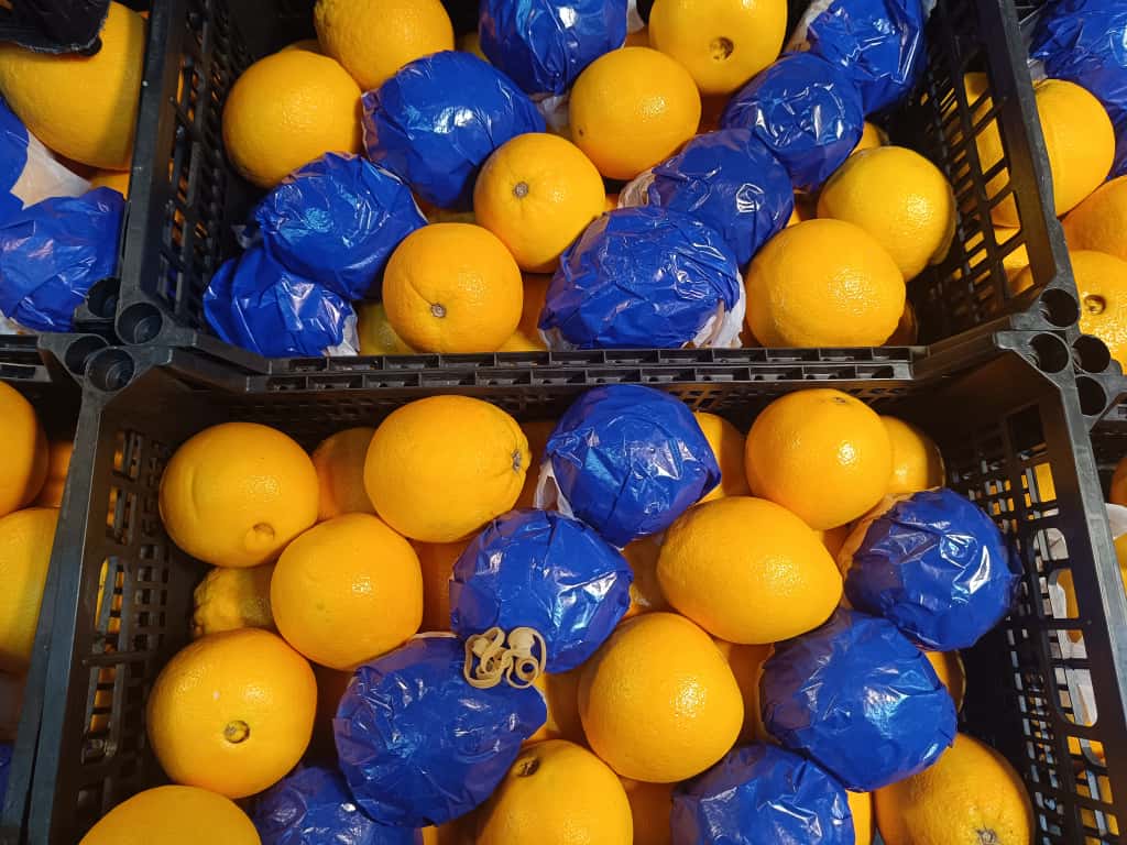 Whatsapp Image 2025 11 06 At 10.09.05