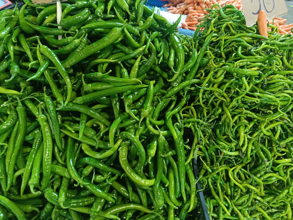 Whatsapp Image 2025 11 06 At 10.09.06