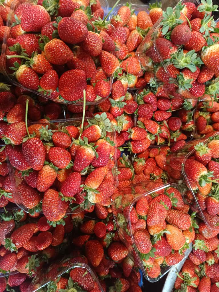 Whatsapp Image 2025 11 06 At 10.09.09