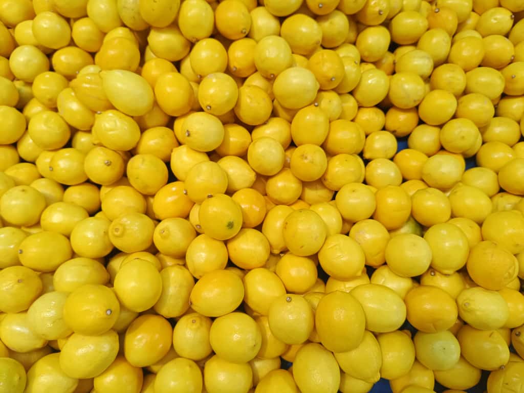 Whatsapp Image 2025 11 06 At 10.09.10