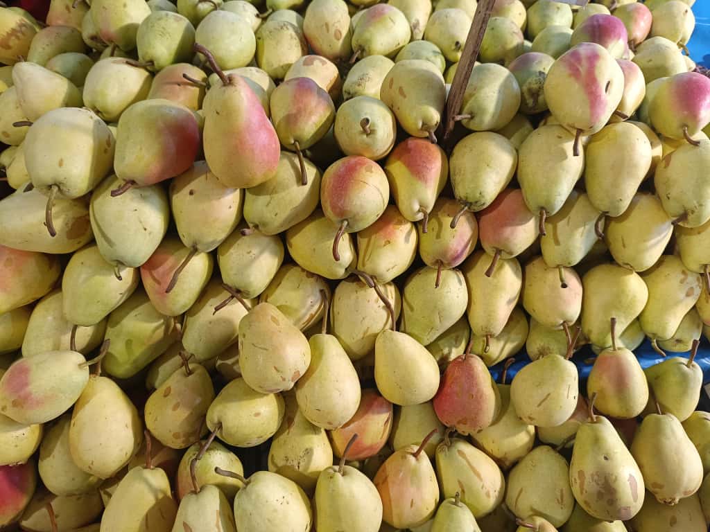 Whatsapp Image 2025 11 06 At 10.09.11