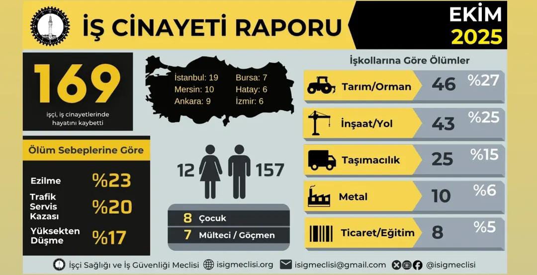 Whatsapp Image 2025 11 06 At 16.27.25