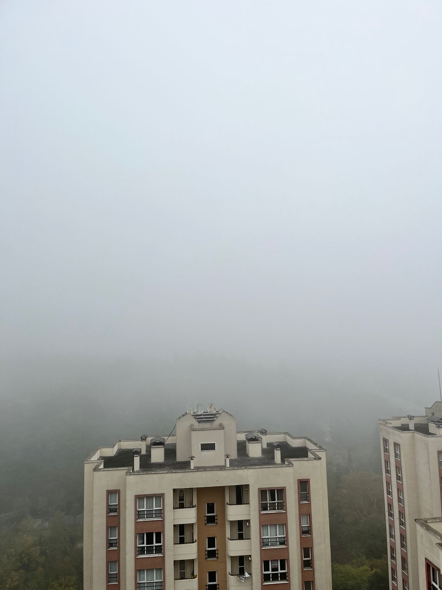 Whatsapp Image 2025 11 08 At 09.54.38 (1)