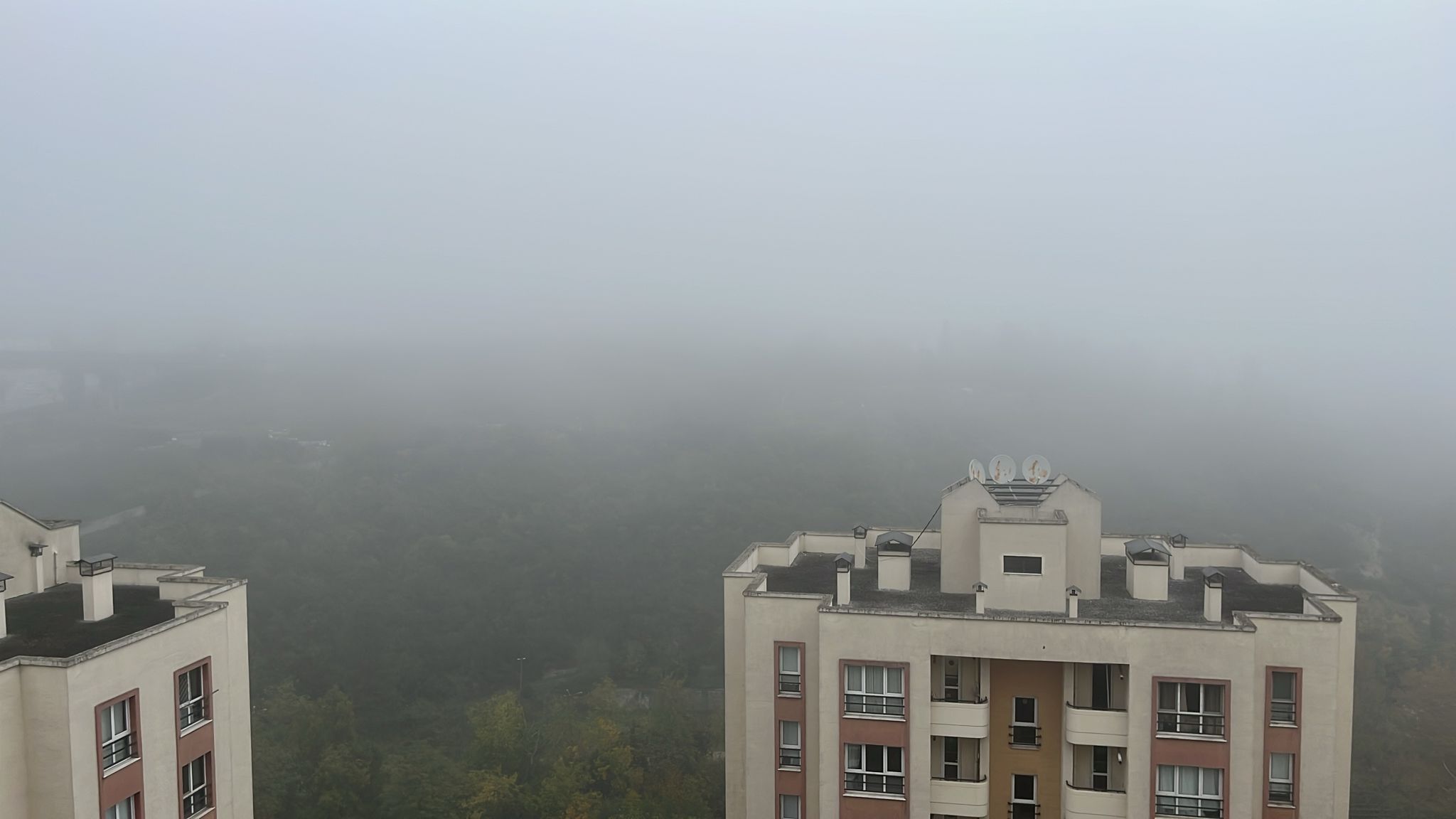 Whatsapp Image 2025 11 08 At 09.54.38