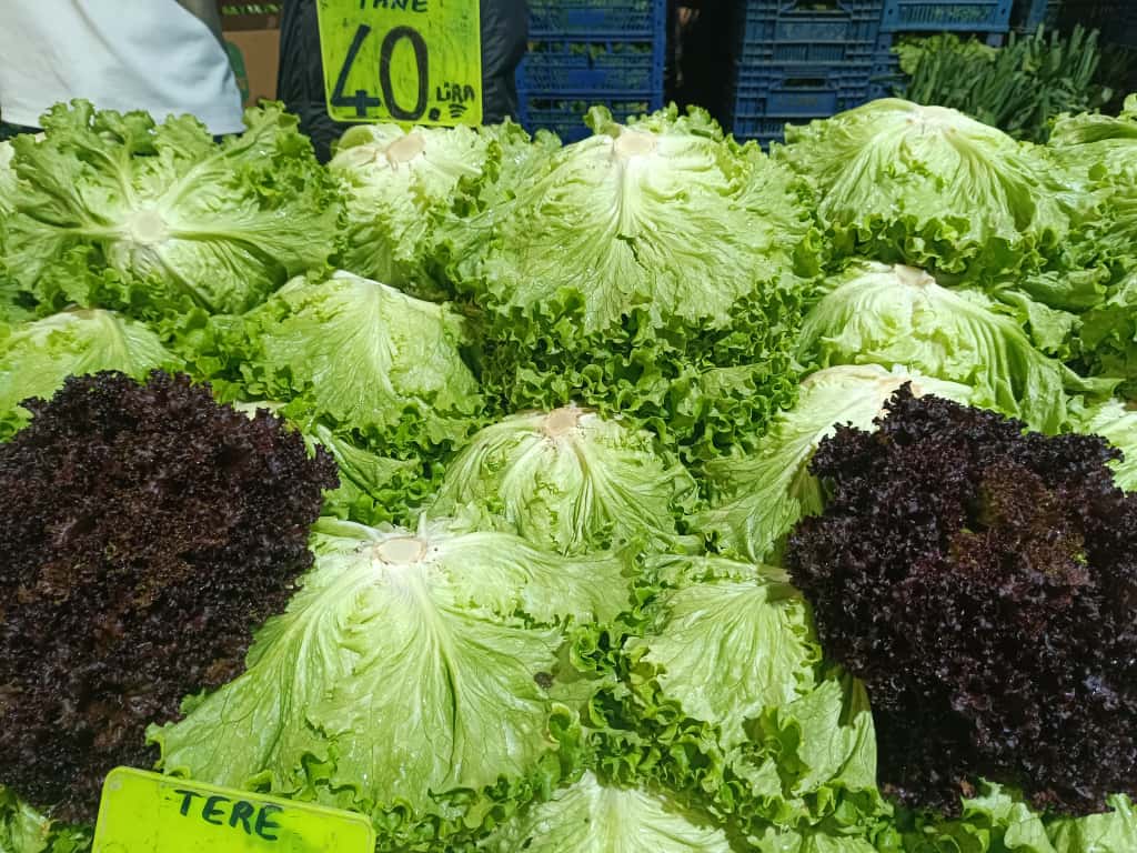 Whatsapp Image 2025 11 08 At 10.35.45