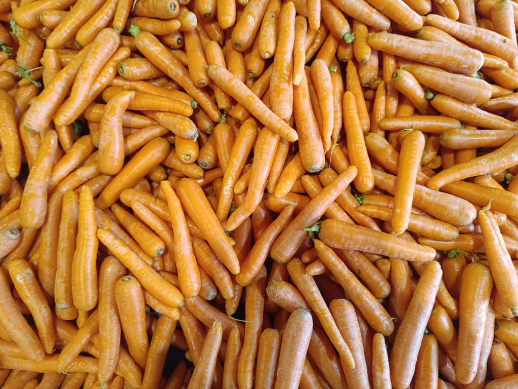 Whatsapp Image 2025 11 08 At 10.35.47