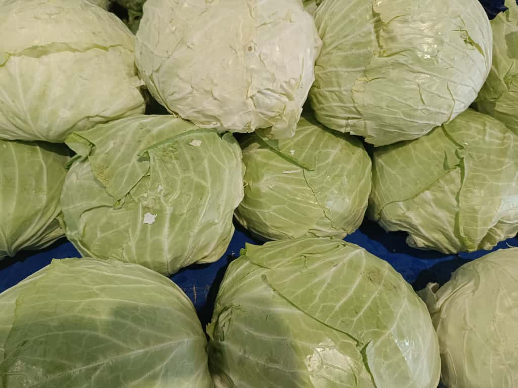 Whatsapp Image 2025 11 08 At 10.35.49