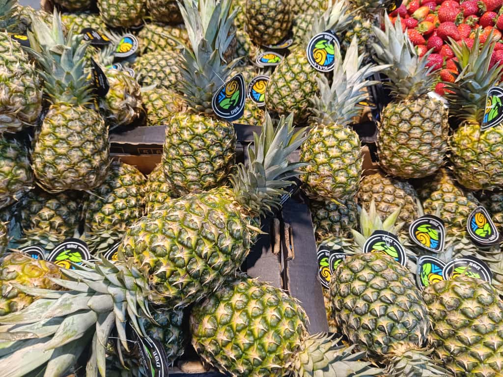 Whatsapp Image 2025 11 08 At 10.36.03