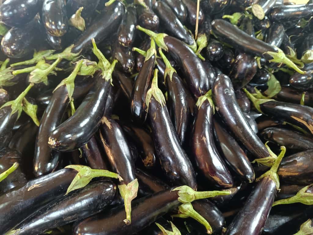 Whatsapp Image 2025 11 08 At 10.36.04 (1)