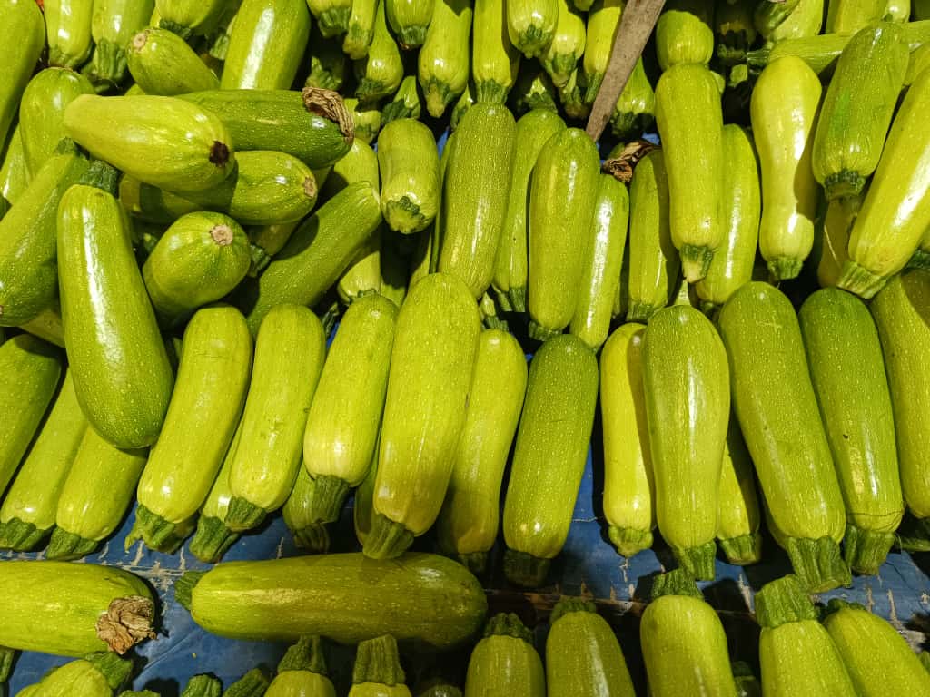 Whatsapp Image 2025 11 08 At 10.36.04