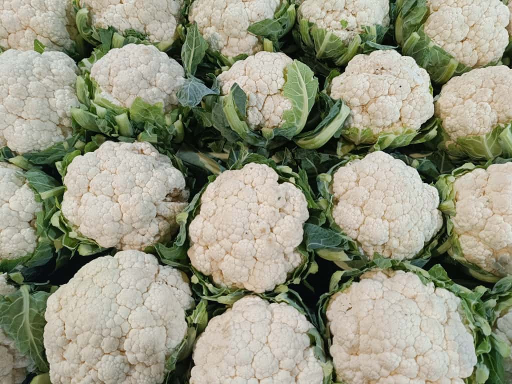 Whatsapp Image 2025 11 08 At 10.36.05 (1)