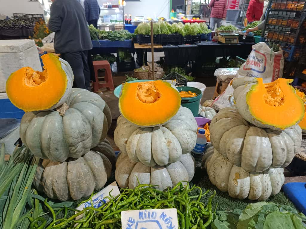 Whatsapp Image 2025 11 08 At 10.36.06