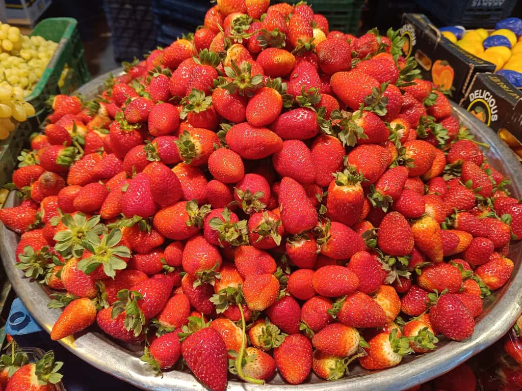 Whatsapp Image 2025 11 08 At 10.36.09 (1)