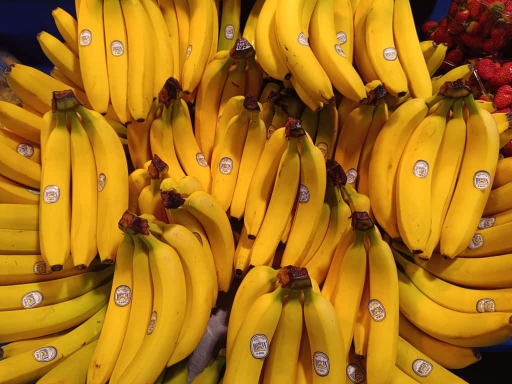 Whatsapp Image 2025 11 08 At 10.36.09