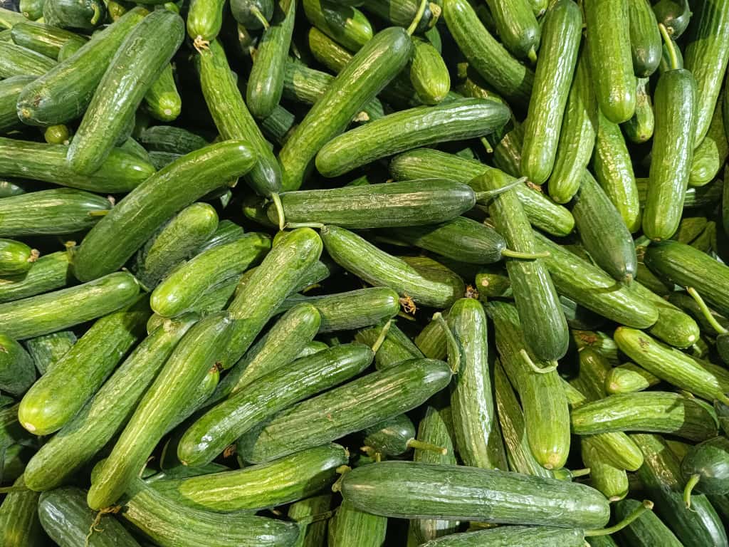 Whatsapp Image 2025 11 08 At 10.36.10 (1)