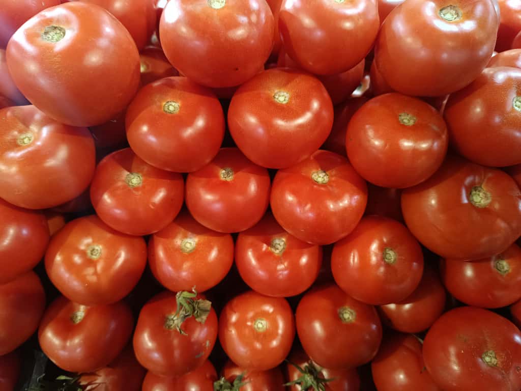 Whatsapp Image 2025 11 08 At 10.36.10