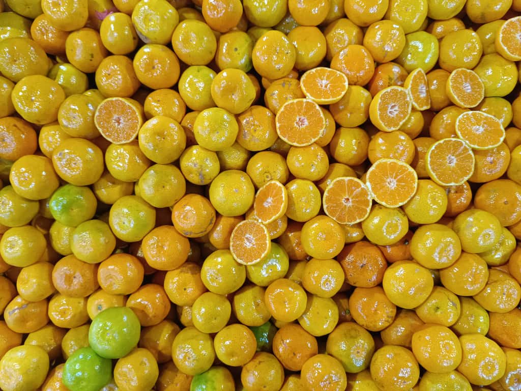 Whatsapp Image 2025 11 08 At 10.36.11 (1)