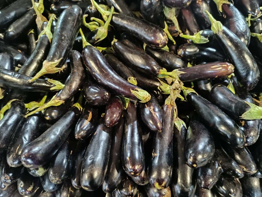 Whatsapp Image 2025 11 08 At 10.36.11