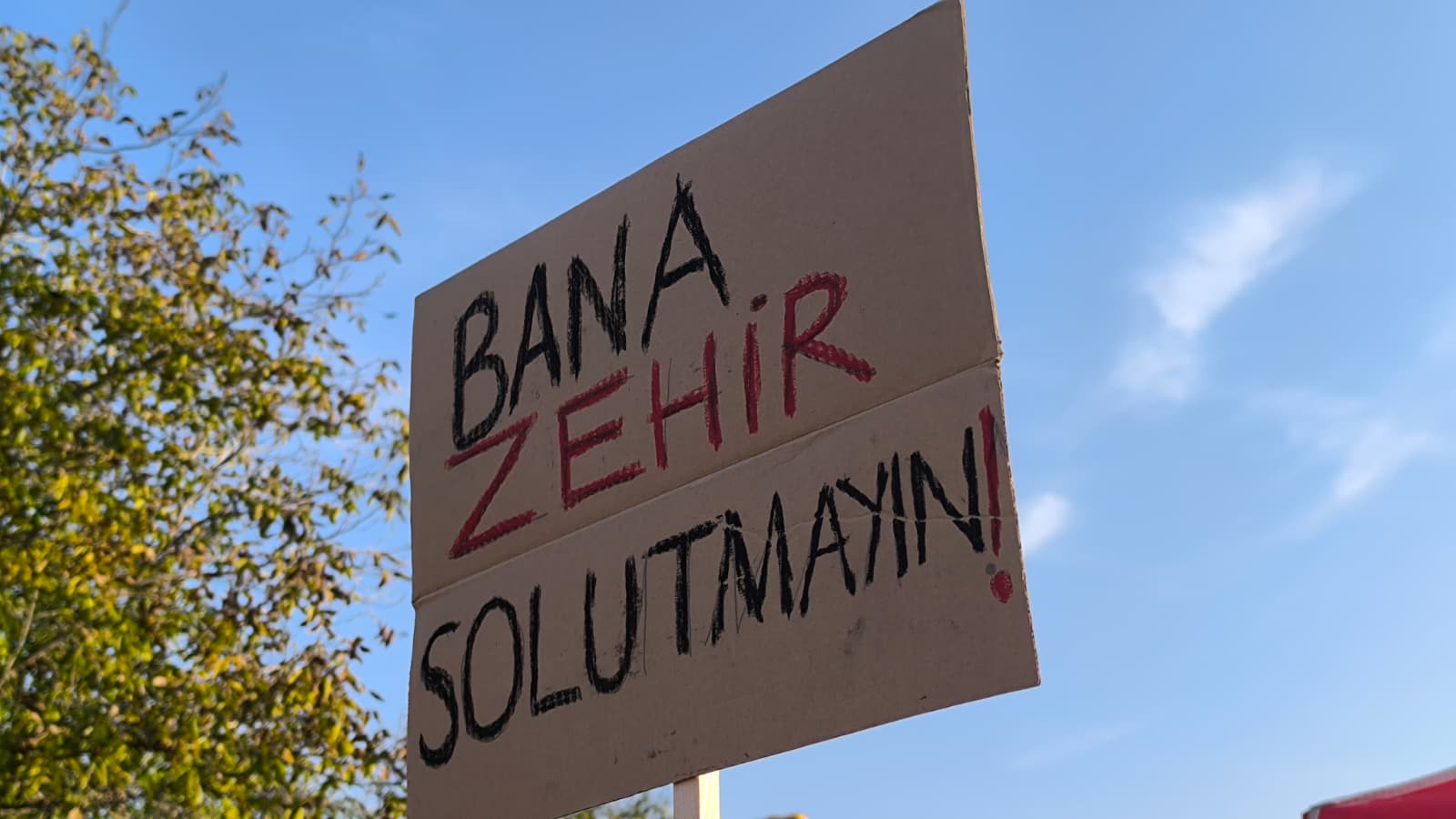 Whatsapp Image 2025 11 08 At 16.55.13