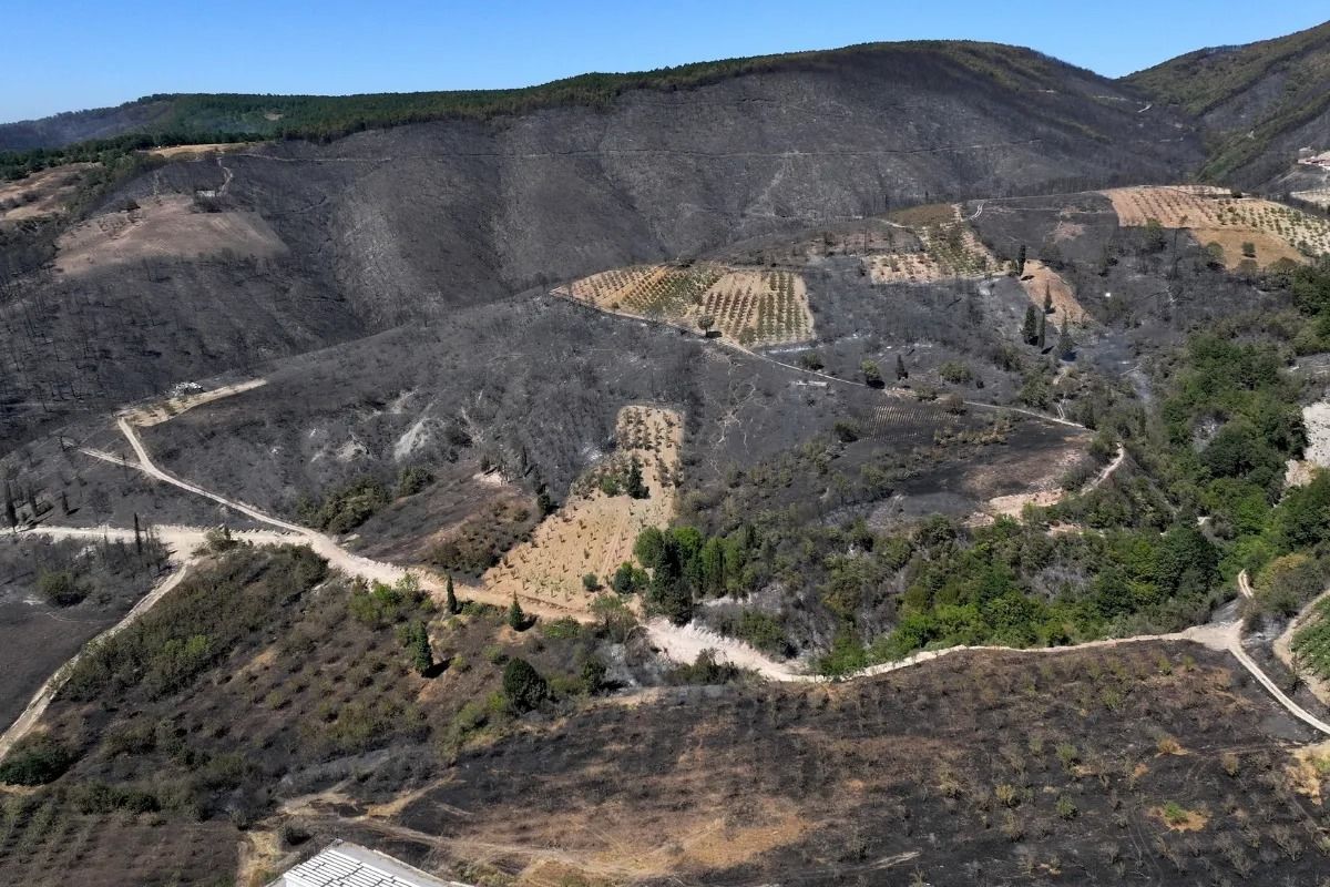 Whatsapp Image 2025 11 08 At 1765857902